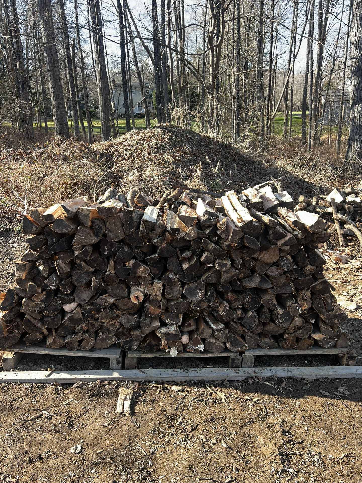 Seasoned Firewood $220 Cord