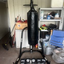 Everlast Punching Bag Set 
