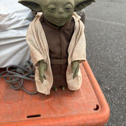 Yoda 
