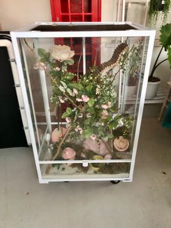 Large Reptile Terrarium