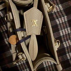 Louis Vuitton Mini Brown Purse