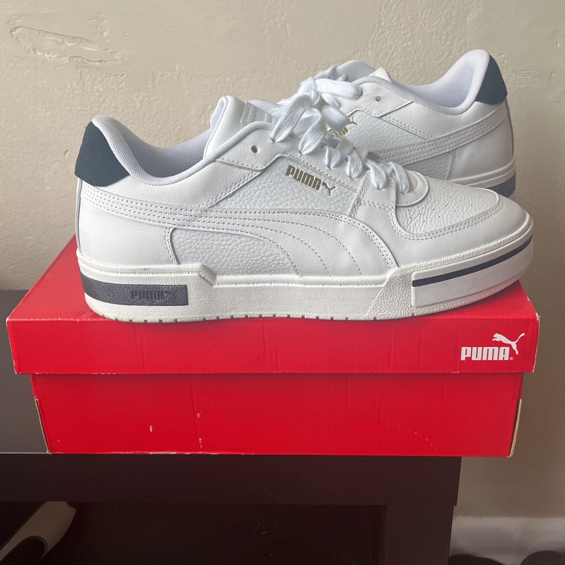 New Pumas 10.5