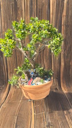 2 Ft Bonsai Tree In A Fairy Garden Setting