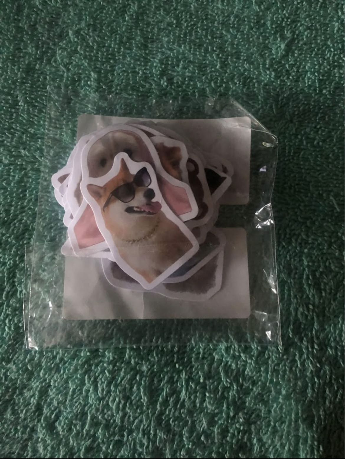 50 Realistic Puppy Stickers