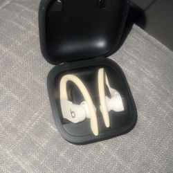 Beats Powerbeats Pro Wireless Earbuds