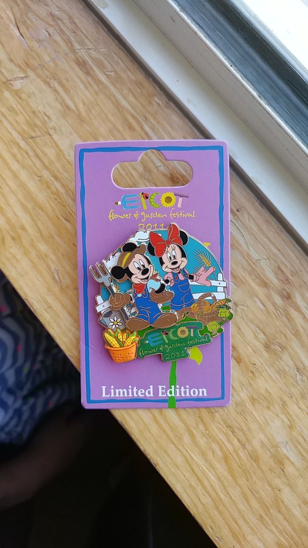 Epcot /Disney limited edition pin