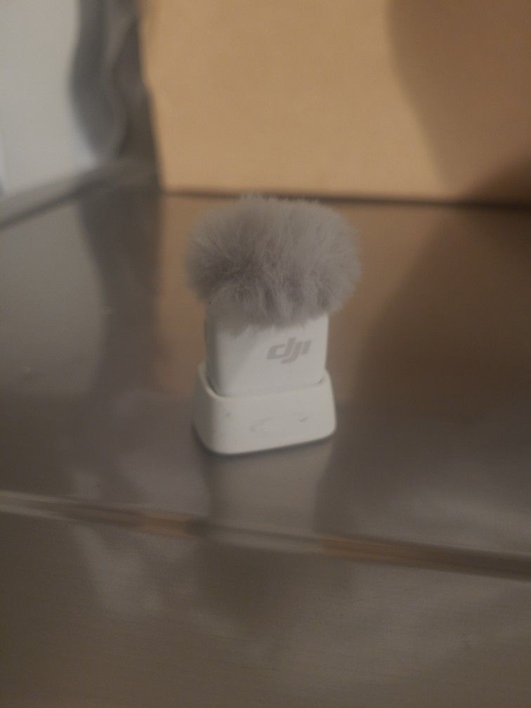 DJI Mini Mic