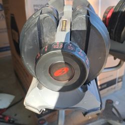 Bowflex Weights (DUMBBELLS) WITH RACK