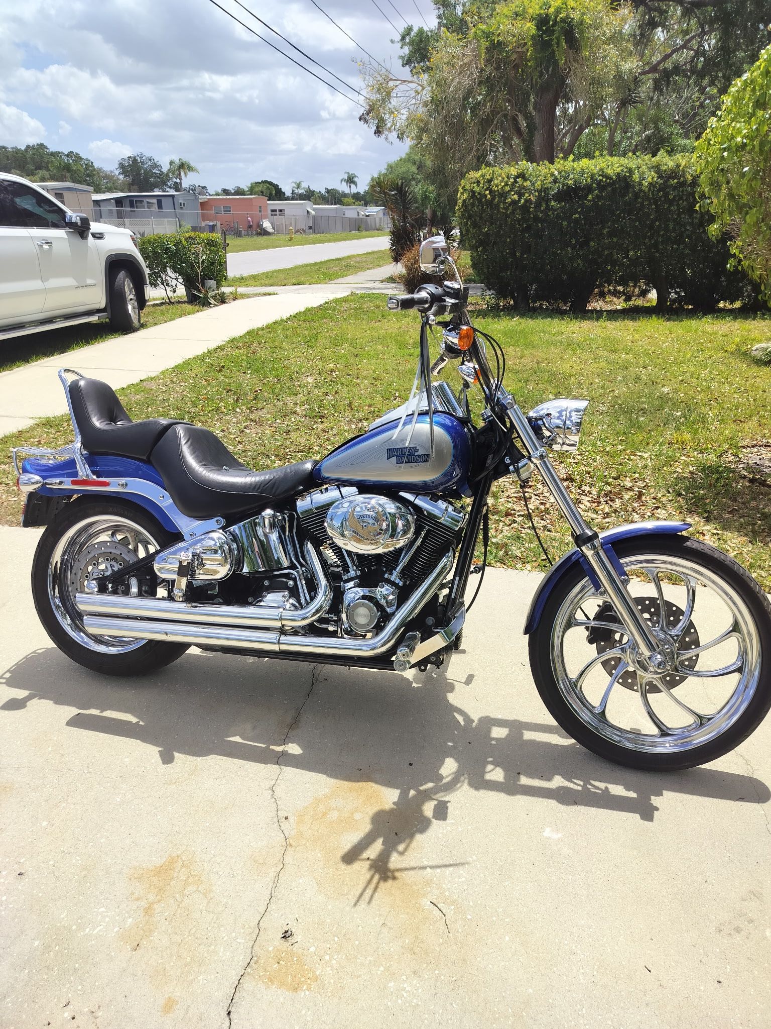 2009 Harley Davidson FXSTC Soft tail Custom