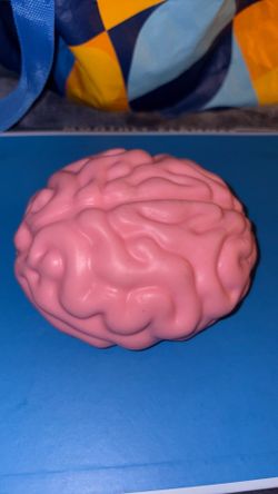 pink brain squishy $10