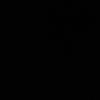 ¿