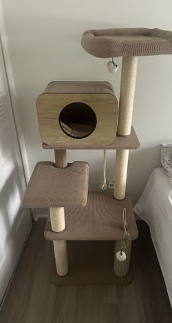 Cat House/Gym