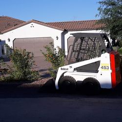 Bobcat Available 