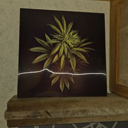 3d Cronic Photo Screen Poster