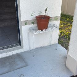 Plant Holder