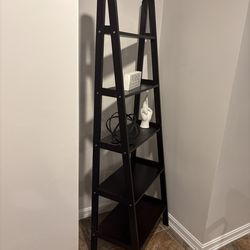 Ladder shelf
