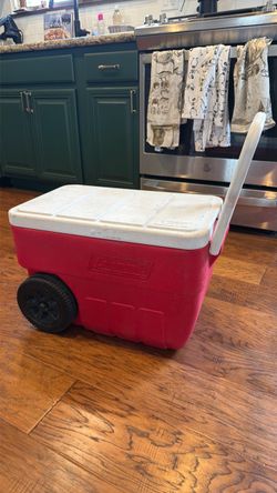 Medium Coleman cooler