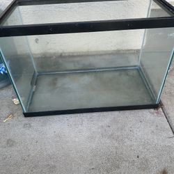 Fish tank 