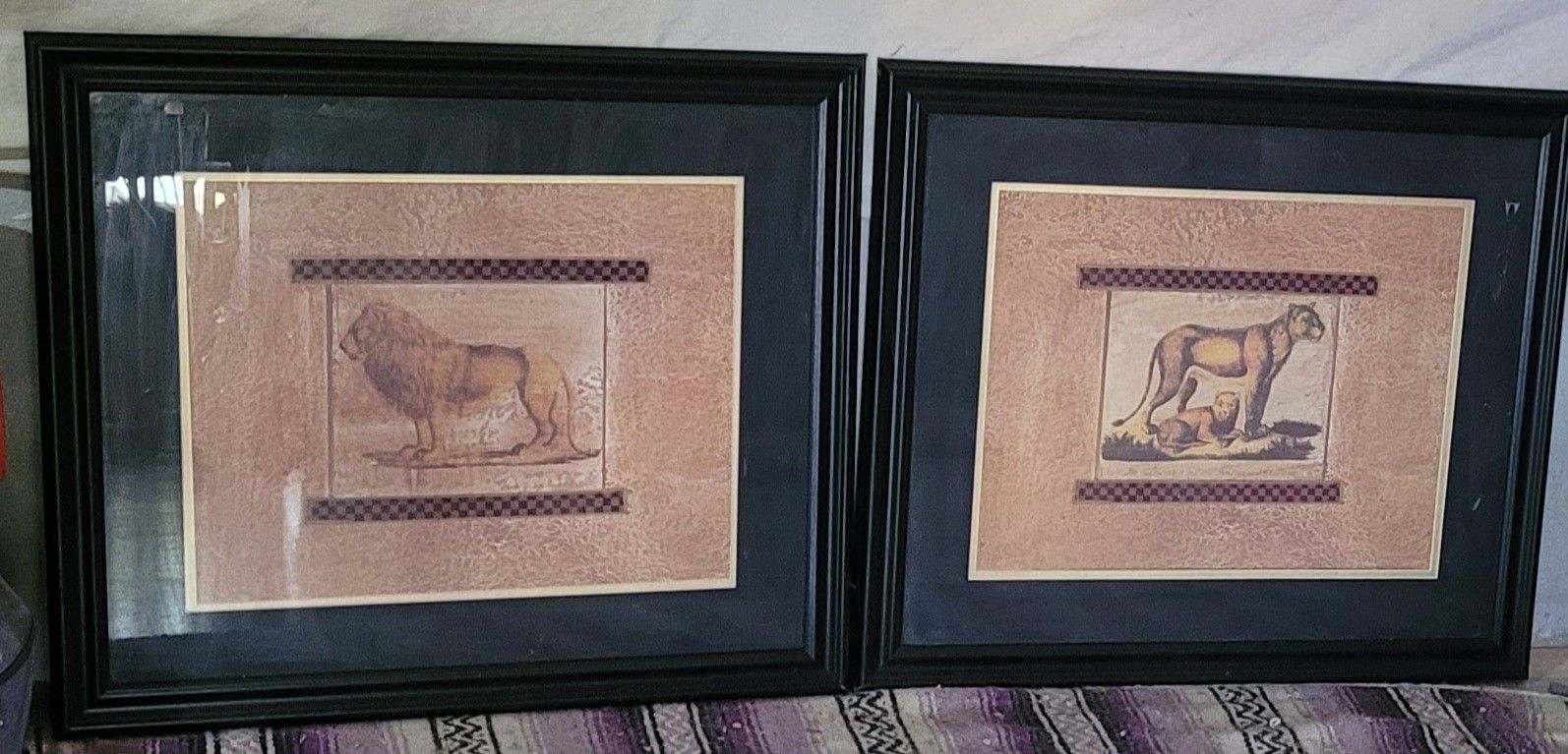 2 Framed Safari Pictures
