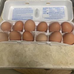 Dozen Eggs 