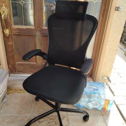 Ergonomic Office Chair