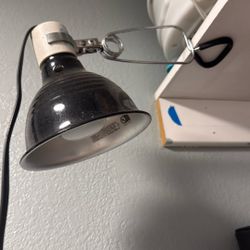 Reptile UVA/UVB Light With Bulb
