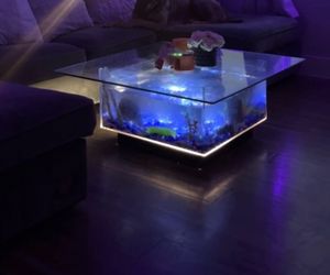 Fish tank