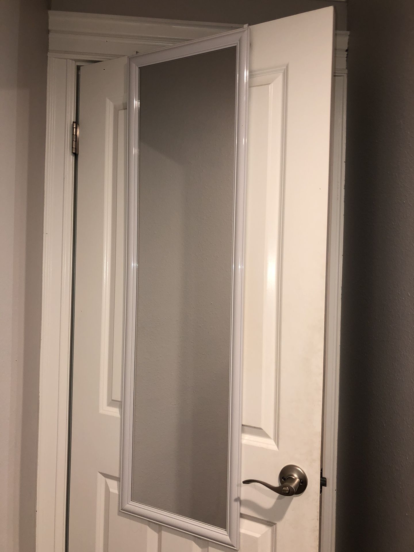 Door mirror