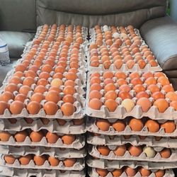 FARM FRESH CHICKEN EGGS (30 count)
