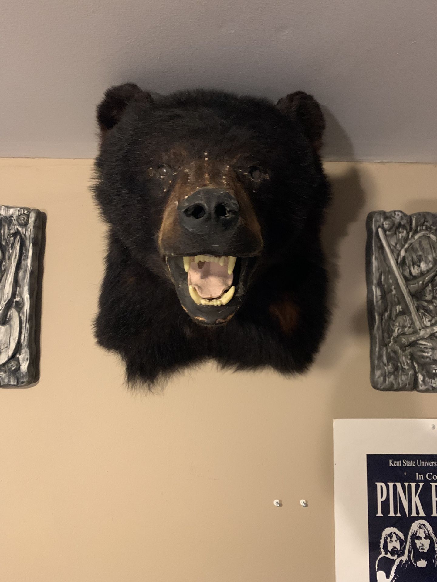 Bear Mount