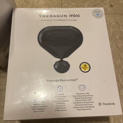 TheRagun Mini 