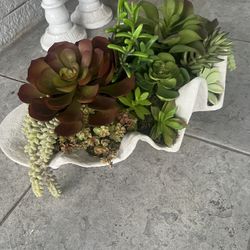 Succulent Planter, Home Decor, And Shell