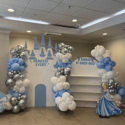 Princess Backdrop Cinderella 