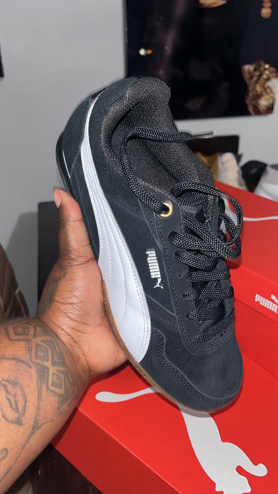 Pumas