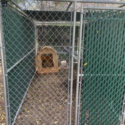 Dog Kennel 
