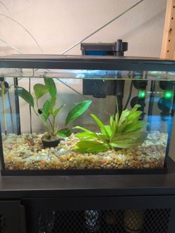 Aquarium