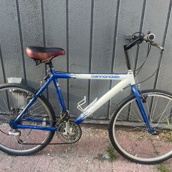 Vintage Cannondale 3.0 series
