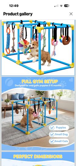 Brand New Indoor Play Gym for Small Dogs/Cats Freestanding 39.5" Stable Frame,Multiple Activities