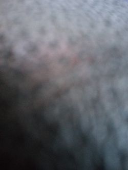 8x10  Storage Shed  New