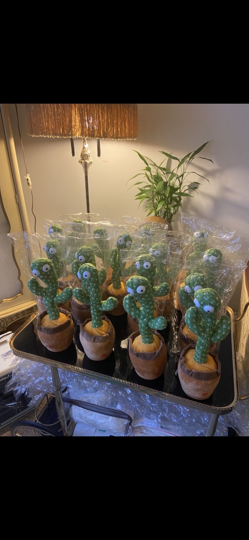 Cactus 🌵 Dance 🕺 Each $10