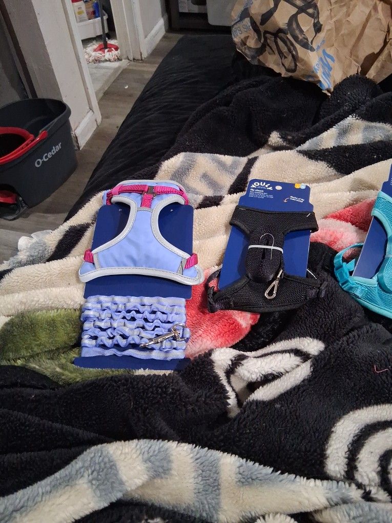 Cat Leash with Matching Vest