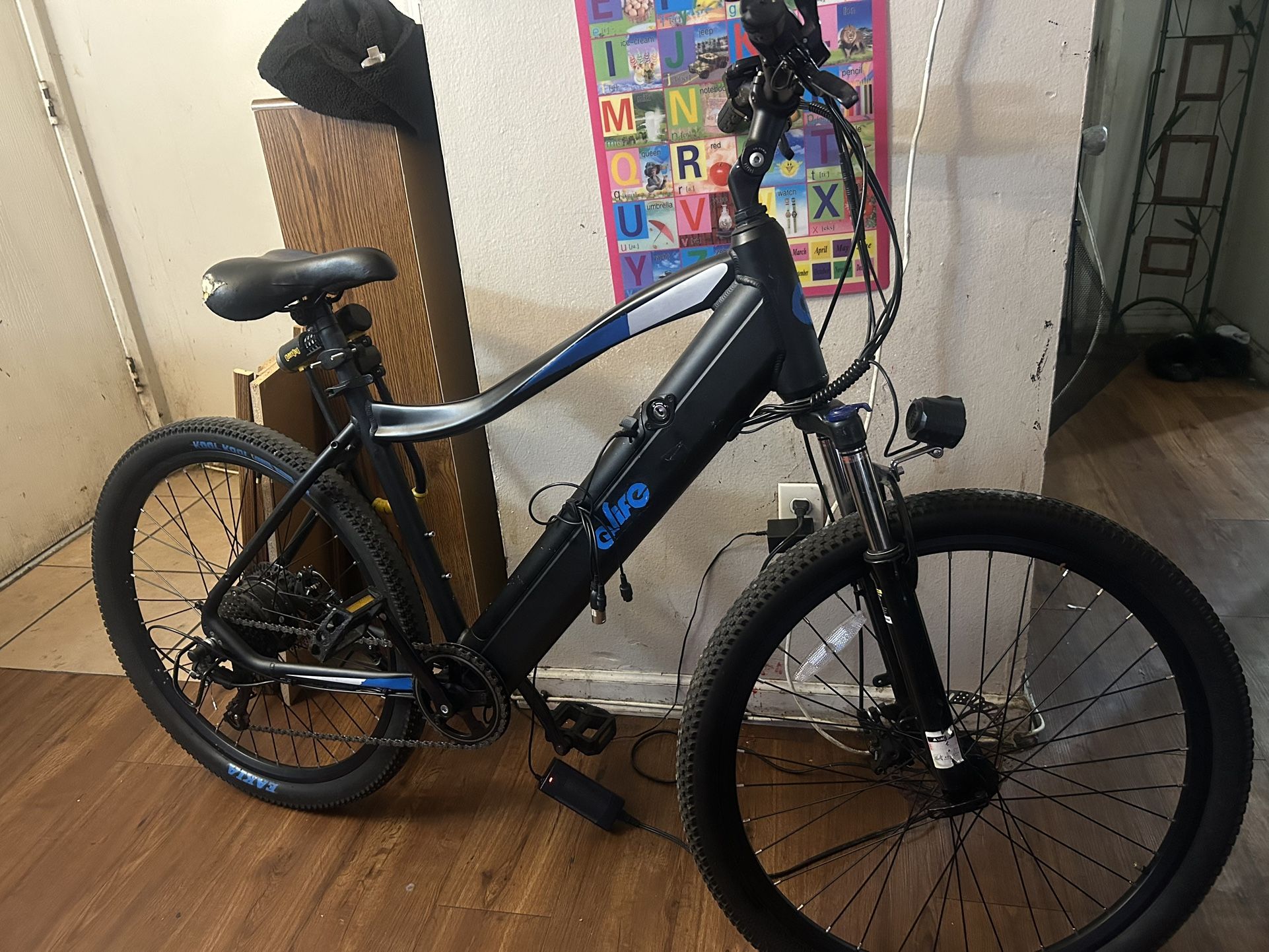 Electric Bike