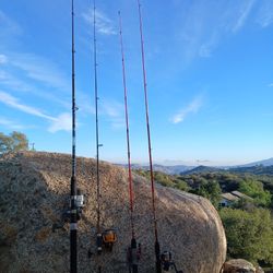 ✨️  Fishing Poles 🎣 