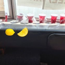 Meyer Lemon Tree seedlings