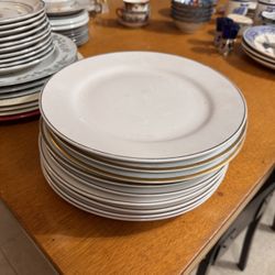 9 White/ Cream Dinner Plates with Gold Trim