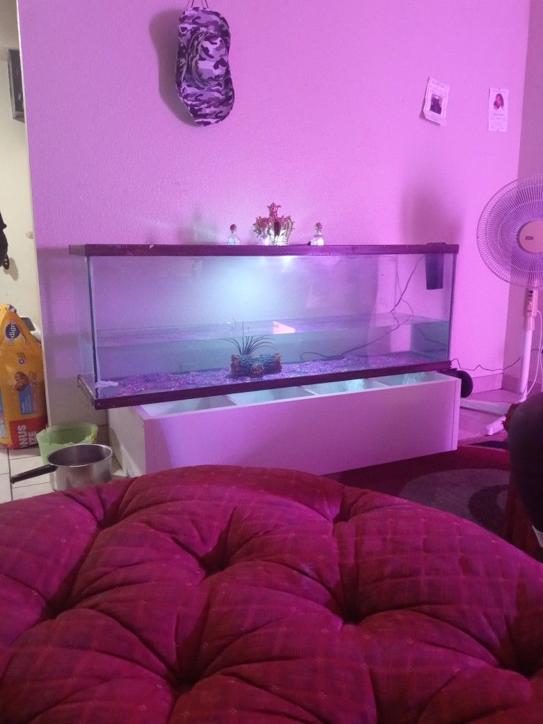 Huge Fish Tank (Think It's Either 100 Gallon Or 200)