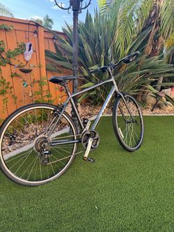 2024 Trek FX 1 (Large - 55cm)