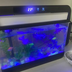 Fish Tank 4 Fishes Included 3 Gallon 