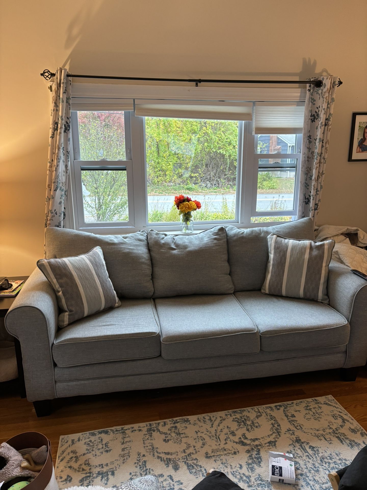 Love Seat And Sofa