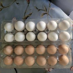 Fresh Eggs 2 Dozen